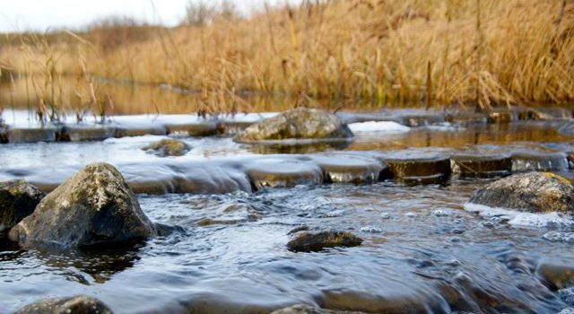 Foto van de vistrap in water Moksloot